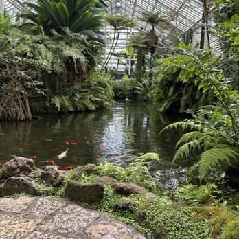 Garfield Park Conservatory - Parks Near Me - Chicago, Illinois Garfield Park Conservatory - Parks Near Me - Chicago, Illinois