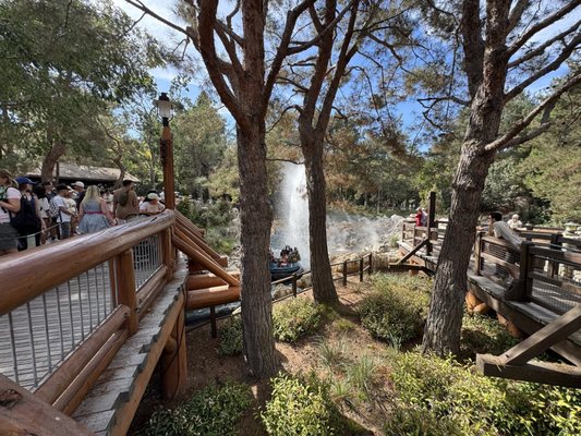 Grizzly River Run by null
