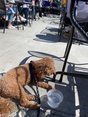 Stone Park Cafe by null