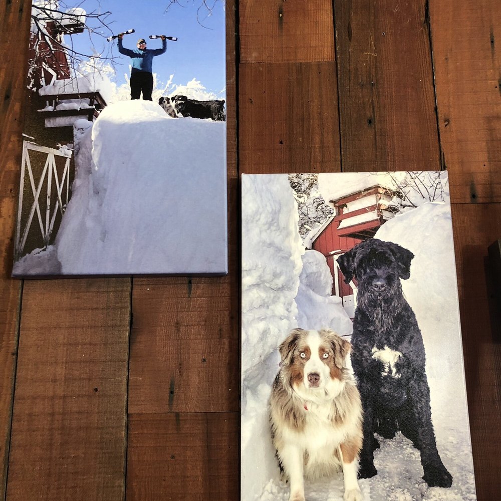 Truckee River Winery - Dog friendly! - Wineries Near Me - Truckee, California Truckee River Winery - Dog friendly! - Wineries Near Me - Truckee, California