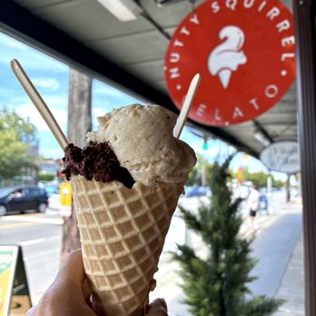 Nutty Squirrel Gelato - Phinney Ridge - Gelato Near Me - Seattle, Washington Nutty Squirrel Gelato - Phinney Ridge - Gelato Near Me - Seattle, Washington