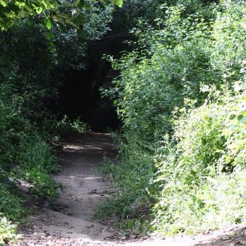 Tilden Regional Park - Wildcat gorge trail - Parks Near Me - Berkeley, California