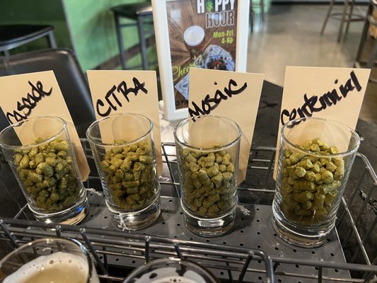 CraftHaus Brewery by null