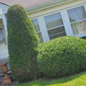 Alex Landscaping - the front of a house with bushes and a trash can - Landscaping Near Me - Norwood, Massachusetts