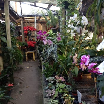 Garden Arts - Orchidarium at Garden Arts - Nurseries & Gardening Near Me - New Smyrna Beach, Florida Garden Arts - Orchidarium at Garden Arts - Nurseries & Gardening Near Me - New Smyrna Beach, Florida