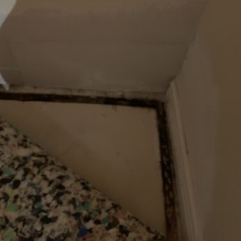 Madrone - Mold after repair.  Lol. On the same day.  Really good luck with your health. - Apartments Near Me - Austin, Texas