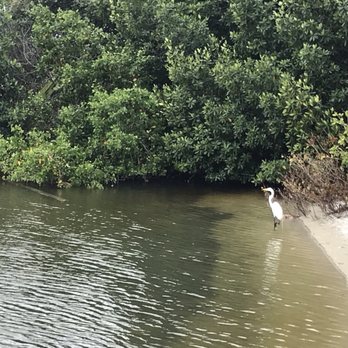 Ben T Davis Beach - Beaches Near Me - Tampa, Florida