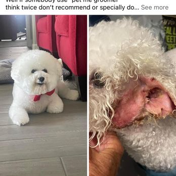 PetMe Haslet - Pet Groomers Near Me - Haslet, Texas PetMe Haslet - Pet Groomers Near Me - Haslet, Texas