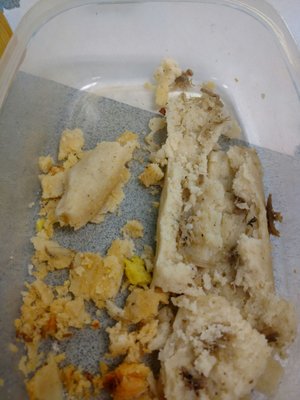 The Tamale Guy by null