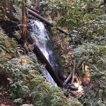 Big Basin Redwoods State Park - Parks Near Me - Boulder Creek, California