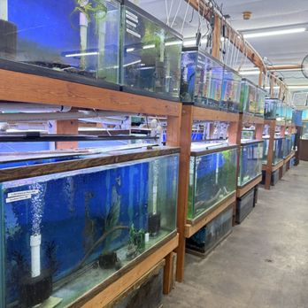 Texas Aquatics - Local Fish Stores Near Me - North Richland Hills, Texas Texas Aquatics - Local Fish Stores Near Me - North Richland Hills, Texas