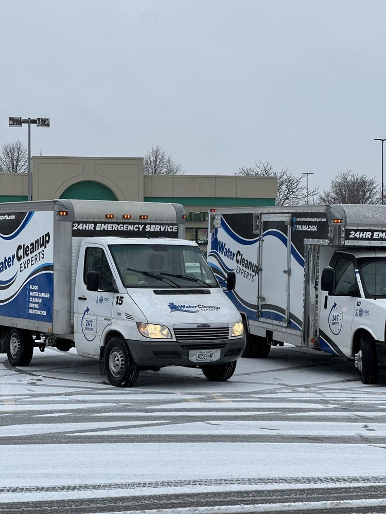 Water Cleanup Experts