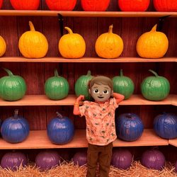 Pa's Pumpkin Patch - Cutest new photo ops
