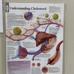 Cerium Medical Group - Explanation of Cholesterol