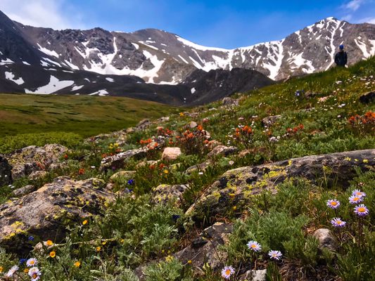Colorado Adventure Guides by null