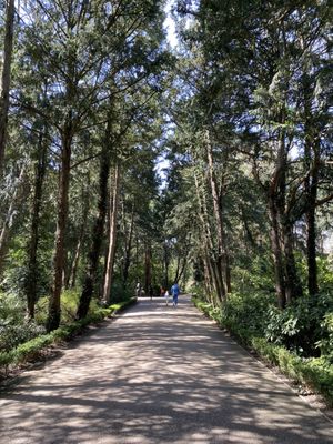 Parc Bagatelle - la Roseraie by null