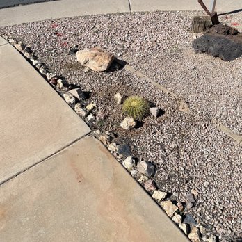 Urgent Care Tree & Lawn - Tree Services Near Me Urgent Care Tree & Lawn - Tree Services Near Me