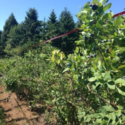 Beach Family Farm