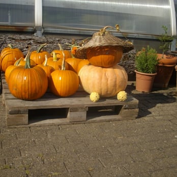 Staudenhof Koch - Nurseries & Gardening Near Me - Iserlohn, NW Staudenhof Koch - Nurseries & Gardening Near Me - Iserlohn, NW
