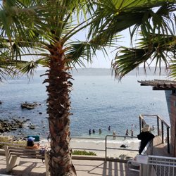 San Diego Scuba Pros - La Jolla Cove Tours