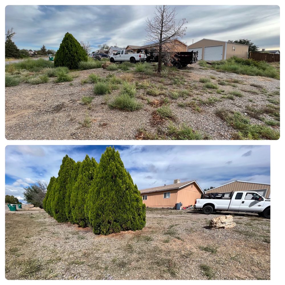 URBAN BEARS Request a Quote Kirtland, New Mexico Junk Removal