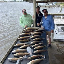 Big Dog Fishing Charters - Great day Guys!