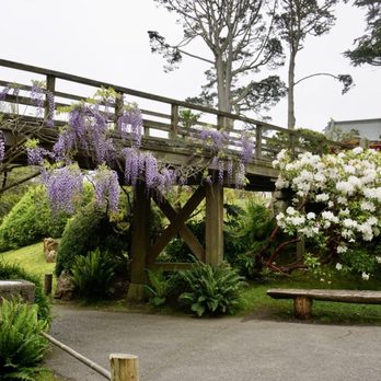 Japanese Tea Garden - Tea Rooms Near Me - San Francisco, California
