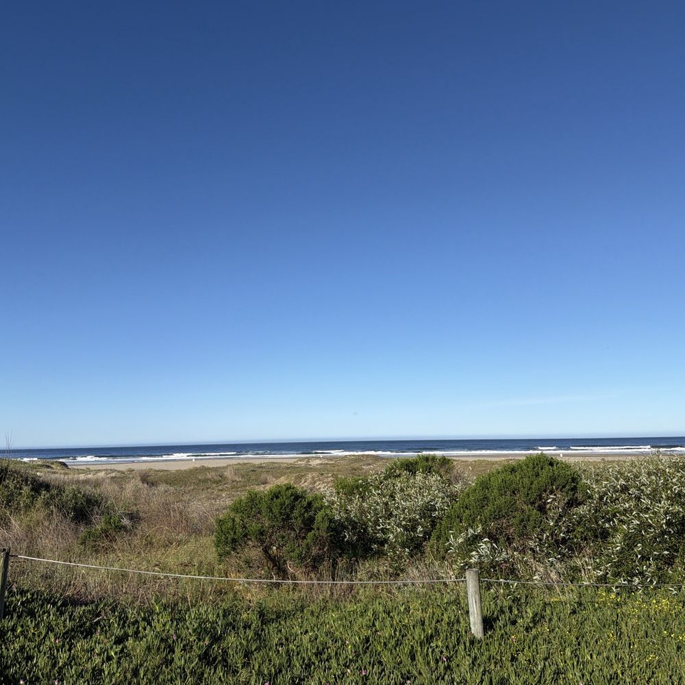 Morro Strand State Beach - Parks Near Me Morro Strand State Beach - Parks Near Me