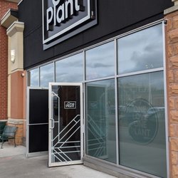 One Plant - Out front from the sidewalk in the parking lot to the west. May 2021