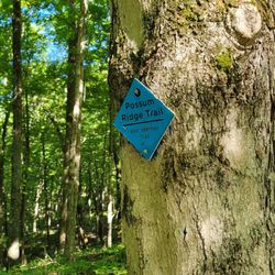 Taylorsville Lake State Park Campground