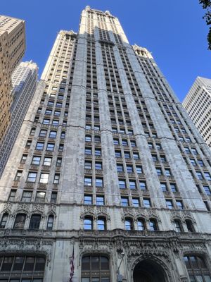 The Woolworth Building by null