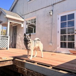 Garcia Fencing Landscaping & Tree Service - Pepper