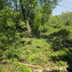 Buddy’s Quality Construction