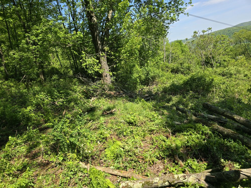 Slide of Buddy's Quality Construction