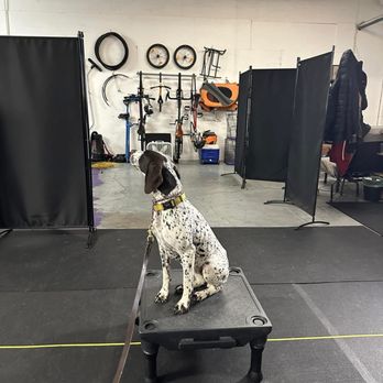 Kindred Dog PDX - Pet Training Near Me - Portland, Oregon