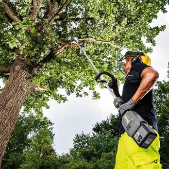 Blue Chip Tree Experts - Tree Services Near Me Blue Chip Tree Experts - Tree Services Near Me