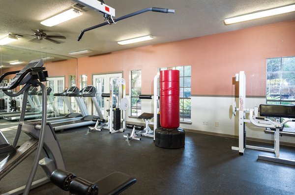 Fountainhead by null