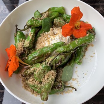 Estuary - Nicely and unusually made shishito peppers with ricotta cheese. Really delicious. - Seafood Near Me - Washington, DC, District of Columbia