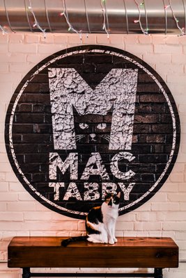Mac Tabby Cat Cafe - Concord by null