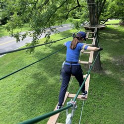 Go Ape Zipline & Adventure Park - Up amongst the trees!