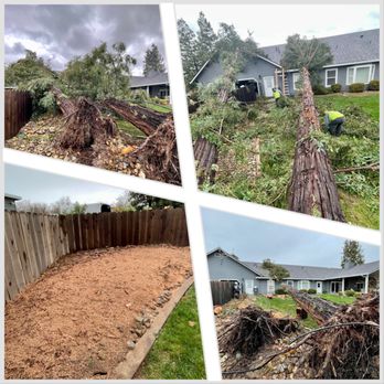 Central Cal Tree Service - Emergency Redwood Removal. Fell Over Due to The high Winds This Storm Brought. - Tree Services Near Me Central Cal Tree Service - Emergency Redwood Removal. Fell Over Due to The high Winds This Storm Brought. - Tree Services Near Me