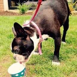 Jeannie enjoying her Ben & Jerry's vanilla!