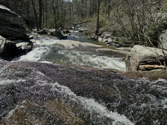 TALLADEGA NATIONAL FOREST - Updated December 2025 - Heflin