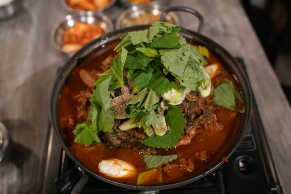 Tang Tang Tang by null