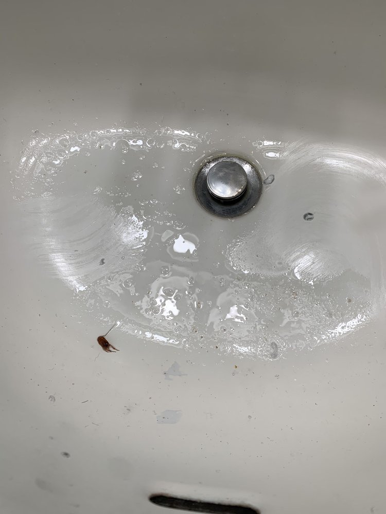 SAGE STONE APARTMENTS Updated August 2024 18 Photos & 27 Reviews