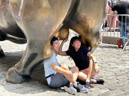 Charging Bull by null