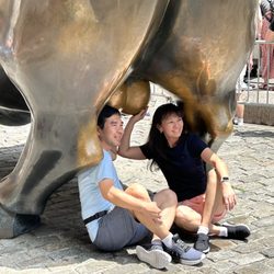 Charging Bull - Touch the Balls for Luck!