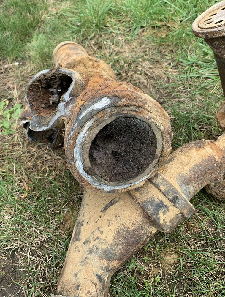 Slide of DNA Honest Plumbing