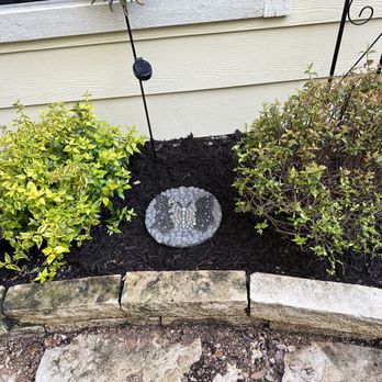 Garden Goods Direct - Their plant next to one I received from another online vendor. Full, healthy. - Nurseries & Gardening Near Me - BOWIE, Maryland Garden Goods Direct - Their plant next to one I received from another online vendor. Full, healthy. - Nurseries & Gardening Near Me - BOWIE, Maryland