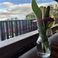 Kula Lodge & Restaurant - A wonderful view from inside the lodge